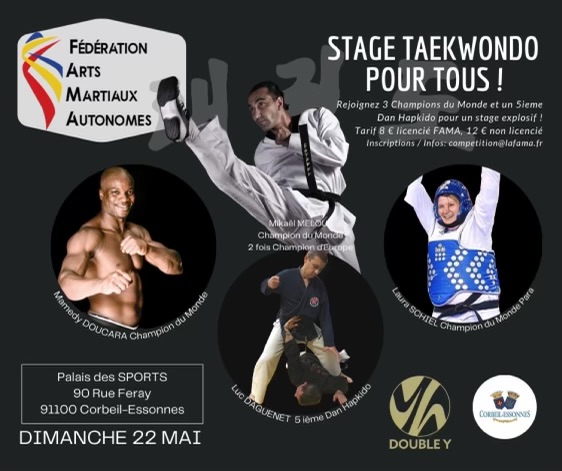 affiche stage 22 mai