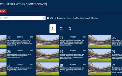 COMMISSIONS DES DEFAILLANCES DE FONCTIONNEMENT AU SEIN DES FEDERATIONS FRANCAISES DE SPORT